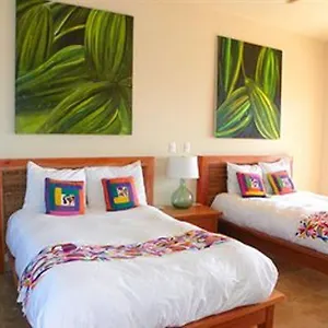 5* Hotel Cardon Adventure